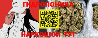 дмт Шахты