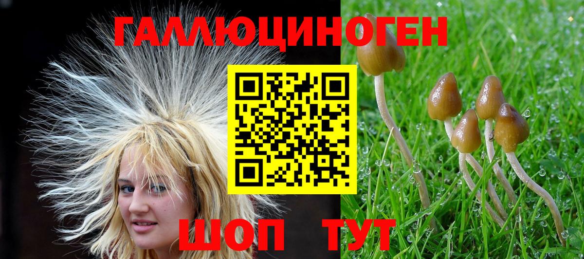 наркотики  Псилоцибиновые грибы Cubensis  Вход с VPN  Электросталь 